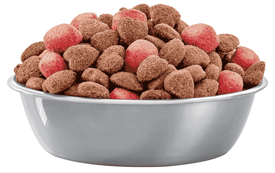 Bobtail South Africa | bowl with dog kibbles