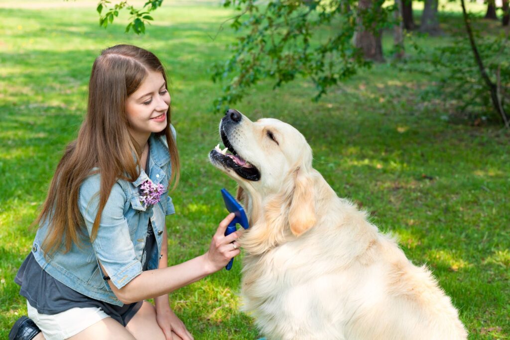 Brush your dog’s coat regularly