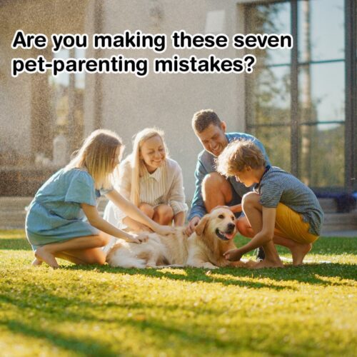 7 Common Pet Parenting Mistakes to Avoid