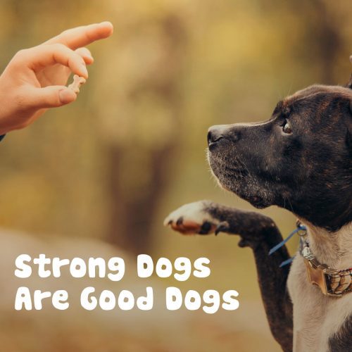 Strong Dogs Are Good Dogs