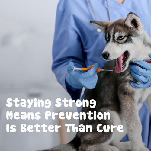Staying Strong Means Prevention Is Better Than Cure